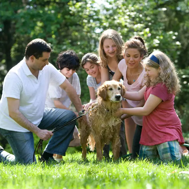 Systemisches Coaching einer Familie in Teltow